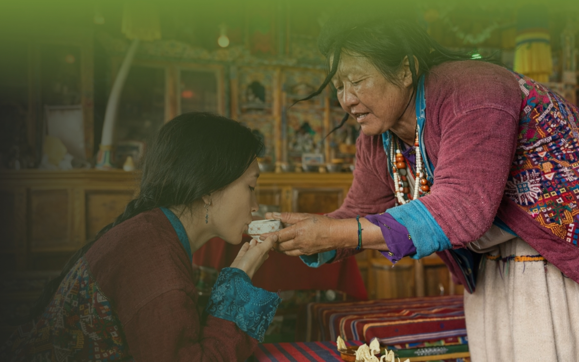Global Conscious Food Systems Summit